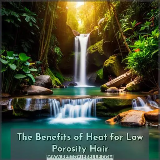 The Benefits of Heat for Low Porosity Hair