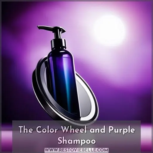 The Color Wheel and Purple Shampoo