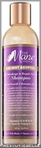 The Mane Choice Ancient Egyptian