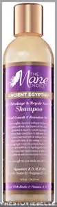 The Mane Choice Ancient Egyptian