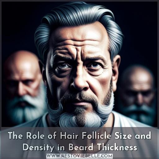The Role of Hair Follicle Size and Density in Beard Thickness