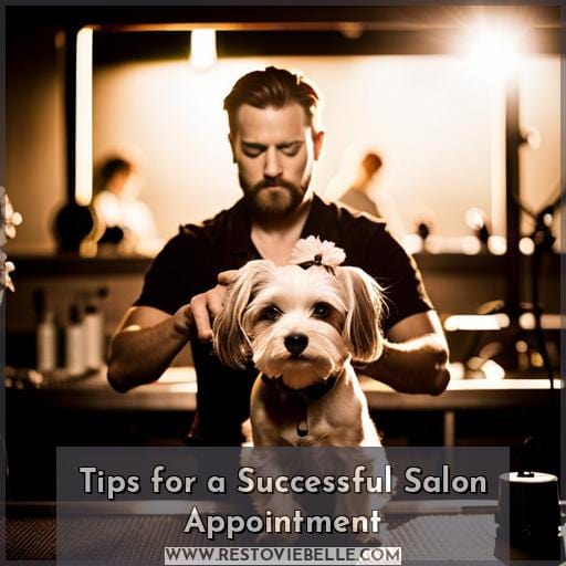 Tips for a Successful Salon Appointment