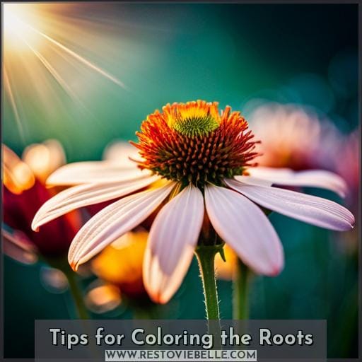 Tips for Coloring the Roots