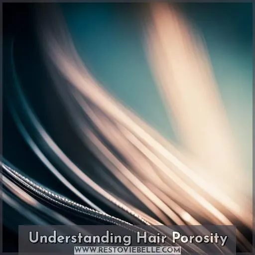 Understanding Hair Porosity