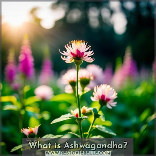 What is Ashwagandha
