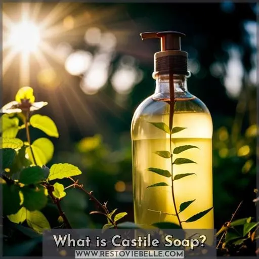 What is Castile Soap