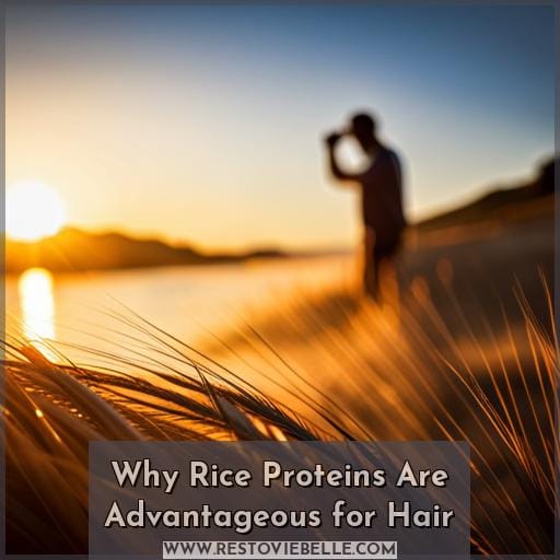 Why Rice Proteins Are Advantageous for Hair