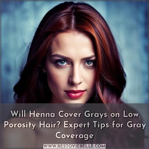 will henna cover grays on low porosity hair will henna cover grays on low porosity hair