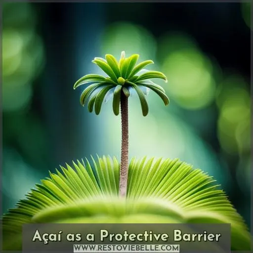 Açaí as a Protective Barrier