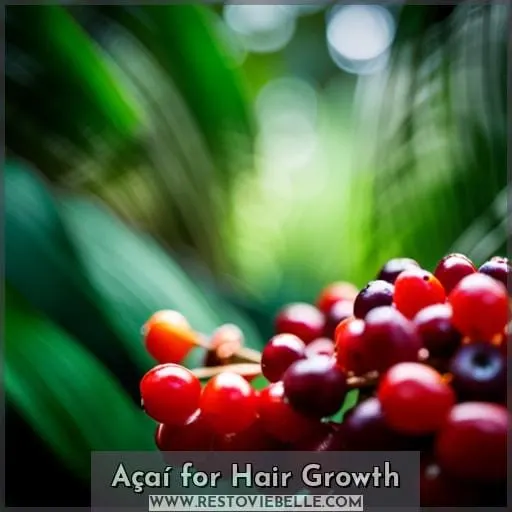Açaí for Hair Growth