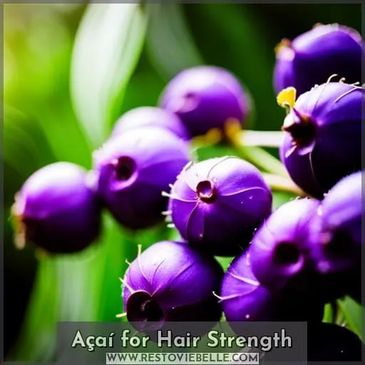 Açaí for Hair Strength