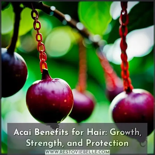 acai benefits for hair