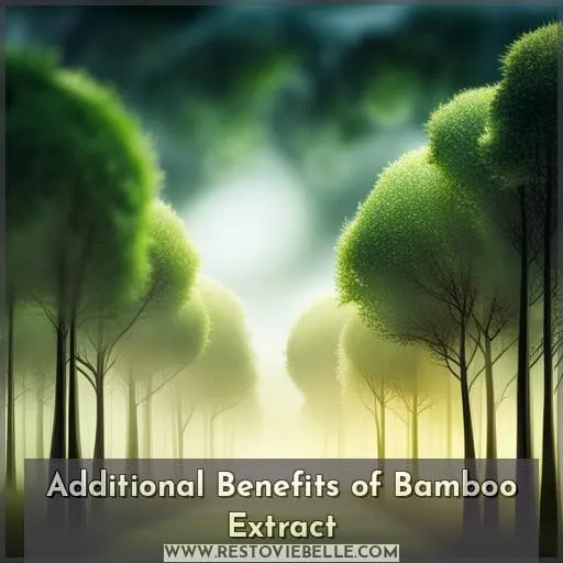 Additional Benefits of Bamboo Extract
