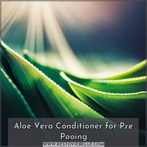 Aloe Vera Conditioner for Pre Pooing