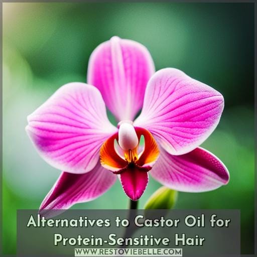 Alternatives to Castor Oil for Protein-Sensitive Hair
