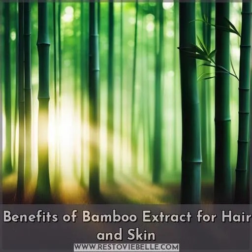 bamboo extract benefits