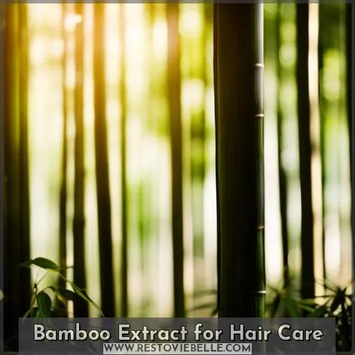 Bamboo Extract for Hair Care