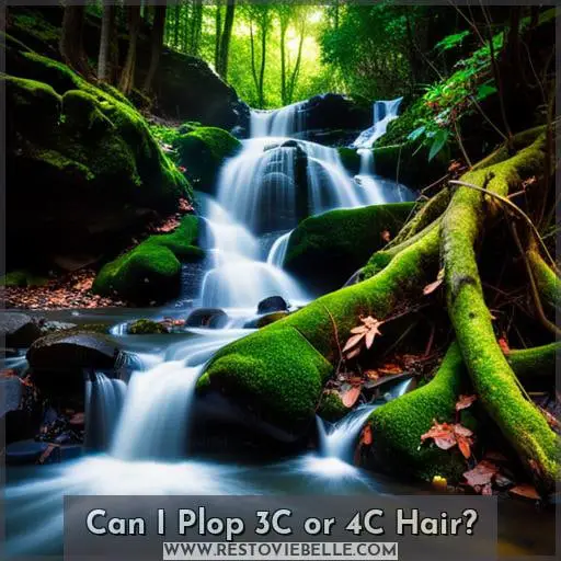 Can I Plop 3C or 4C Hair