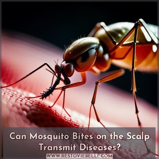 Can Mosquito Bites on the Scalp Transmit Diseases