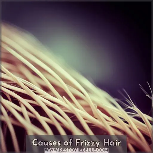 Causes of Frizzy Hair