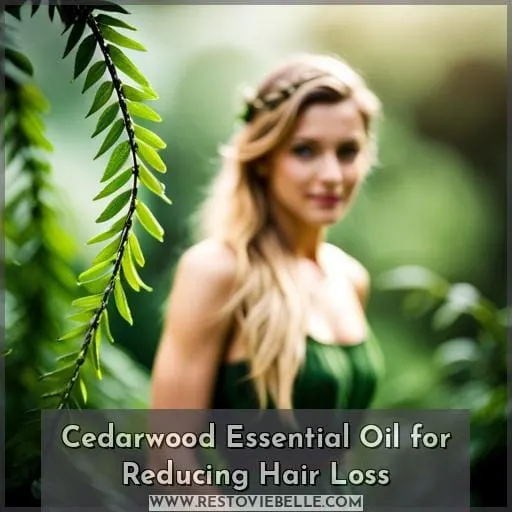 Cedarwood Essential Oil for Reducing Hair Loss