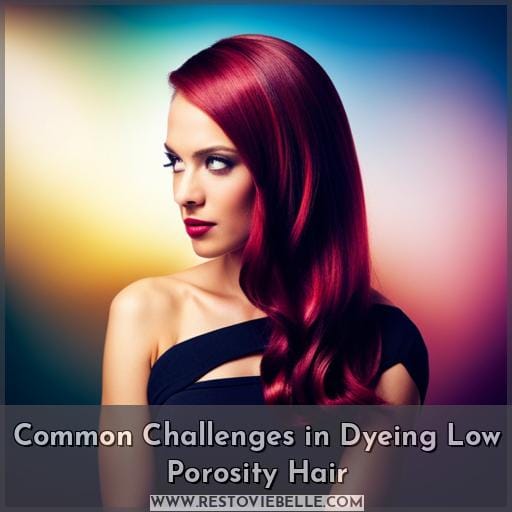 Common Challenges in Dyeing Low Porosity Hair