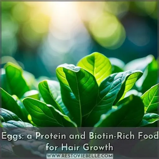 Eggs: a Protein and Biotin-Rich Food for Hair Growth