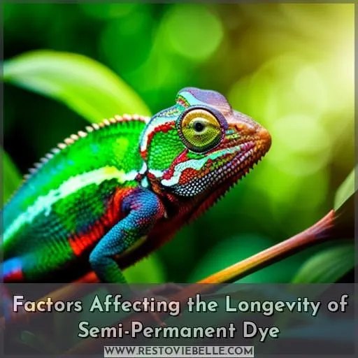 Factors Affecting the Longevity of Semi-Permanent Dye