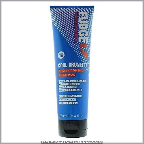 Fudge Cool Brunette Blue-Toning Shampoo