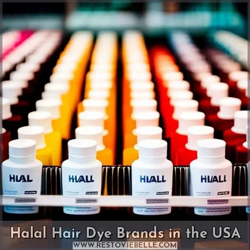 Halal Hair Dye Brands in the USA