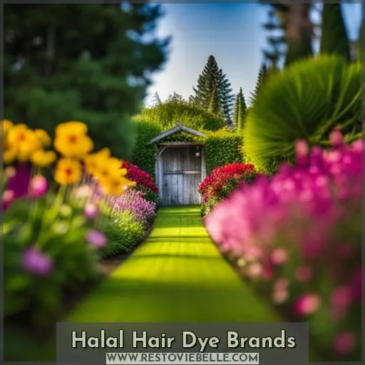 Halal Hair Dye Brands