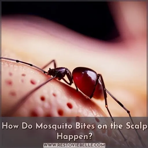 How Do Mosquito Bites on the Scalp Happen