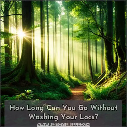 How Long Can You Go Without Washing Your Locs