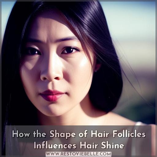 How the Shape of Hair Follicles Influences Hair Shine