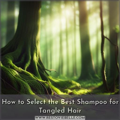 How to Select the Best Shampoo for Tangled Hair