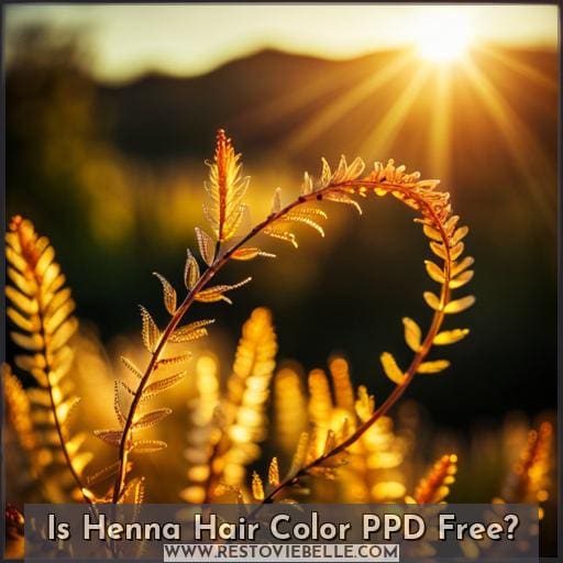 Is Henna Hair Color PPD Free