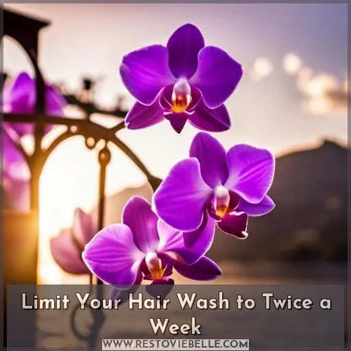 Limit Your Hair Wash to Twice a Week