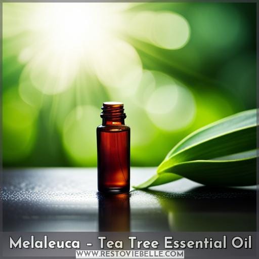 Melaleuca – Tea Tree Essential Oil