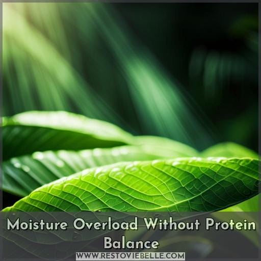 Moisture Overload Without Protein Balance