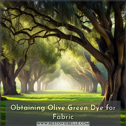 Obtaining Olive Green Dye for Fabric
