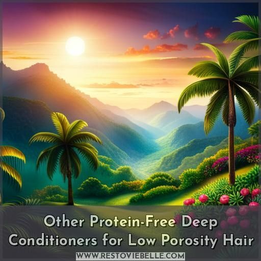 Other Protein-Free Deep Conditioners for Low Porosity Hair