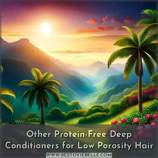 Other Protein-Free Deep Conditioners for Low Porosity Hair