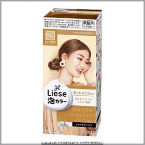 PRETTIA Kao Bubble Hair Color,