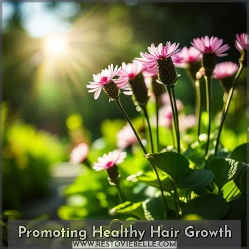 Promoting Healthy Hair Growth