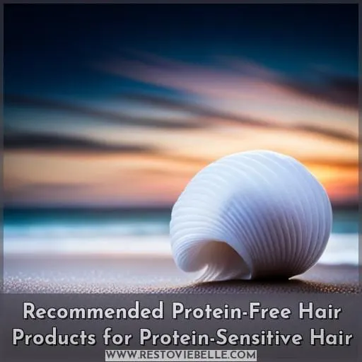 Recommended Protein-Free Hair Products for Protein-Sensitive Hair