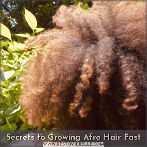 Secrets to Growing Afro Hair Fast