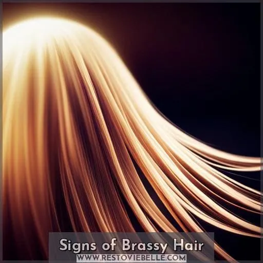 Signs of Brassy Hair