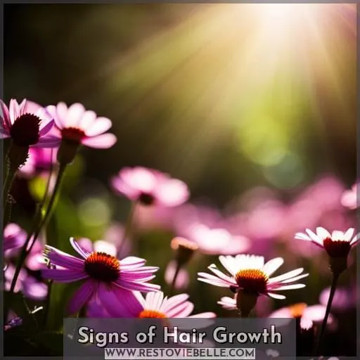 Signs of Hair Growth