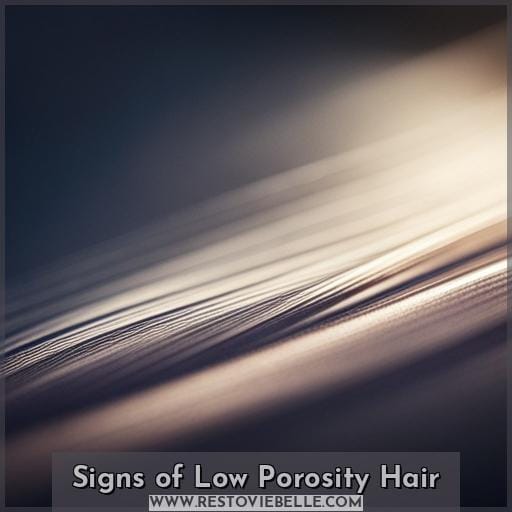 Signs of Low Porosity Hair