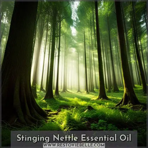 Stinging Nettle Essential Oil